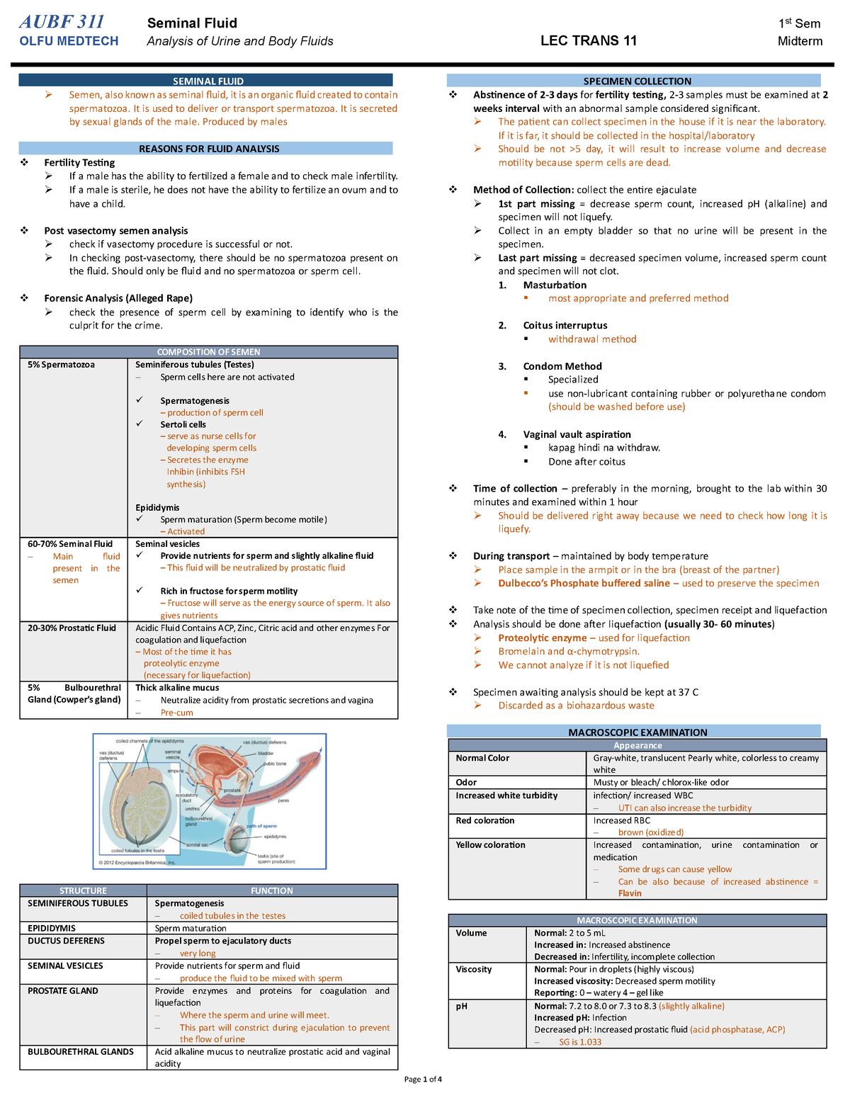 AUB F LEC Trans 11 Seminal Fluid - AUBF 311 Seminal Fluid 1 St Sem OLFU ...