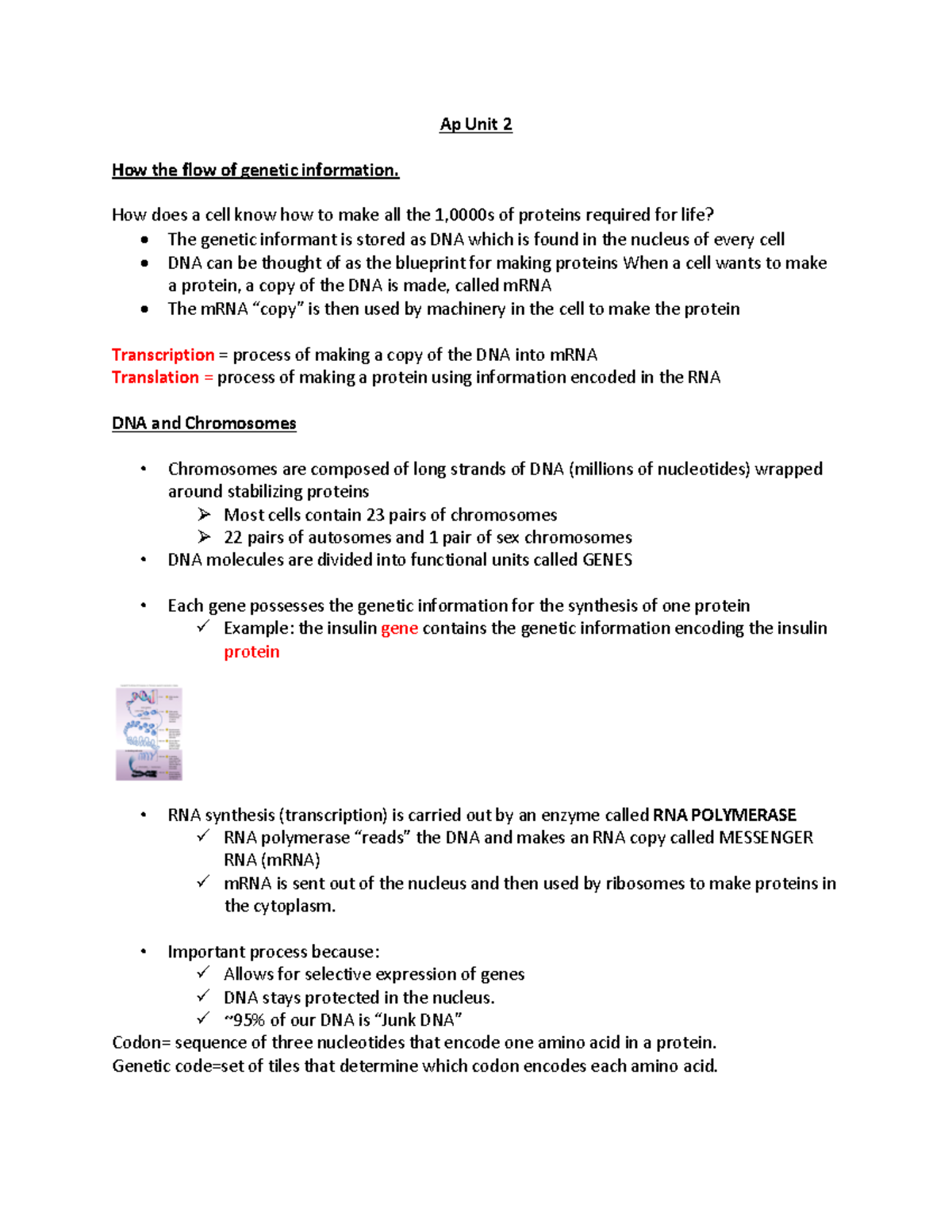 ap-untit-2-ap-unit-2-how-the-flow-of-genetic-information-how-does-a