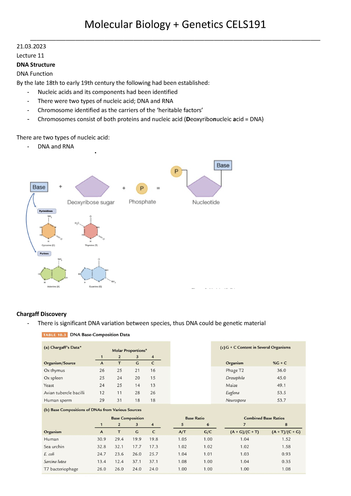 Molecular Biology + Genetics Module Notes - Molecular Biology ...