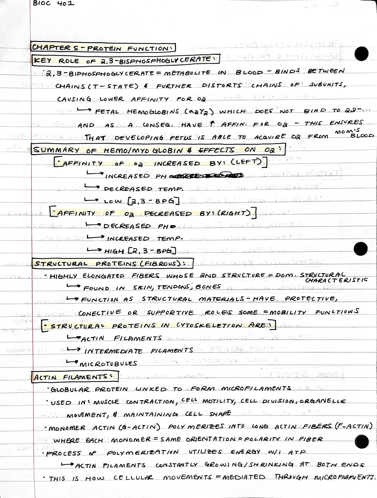 UNL BIOC 401 CH 5-1 NOTES - BIOC 401 - Studocu