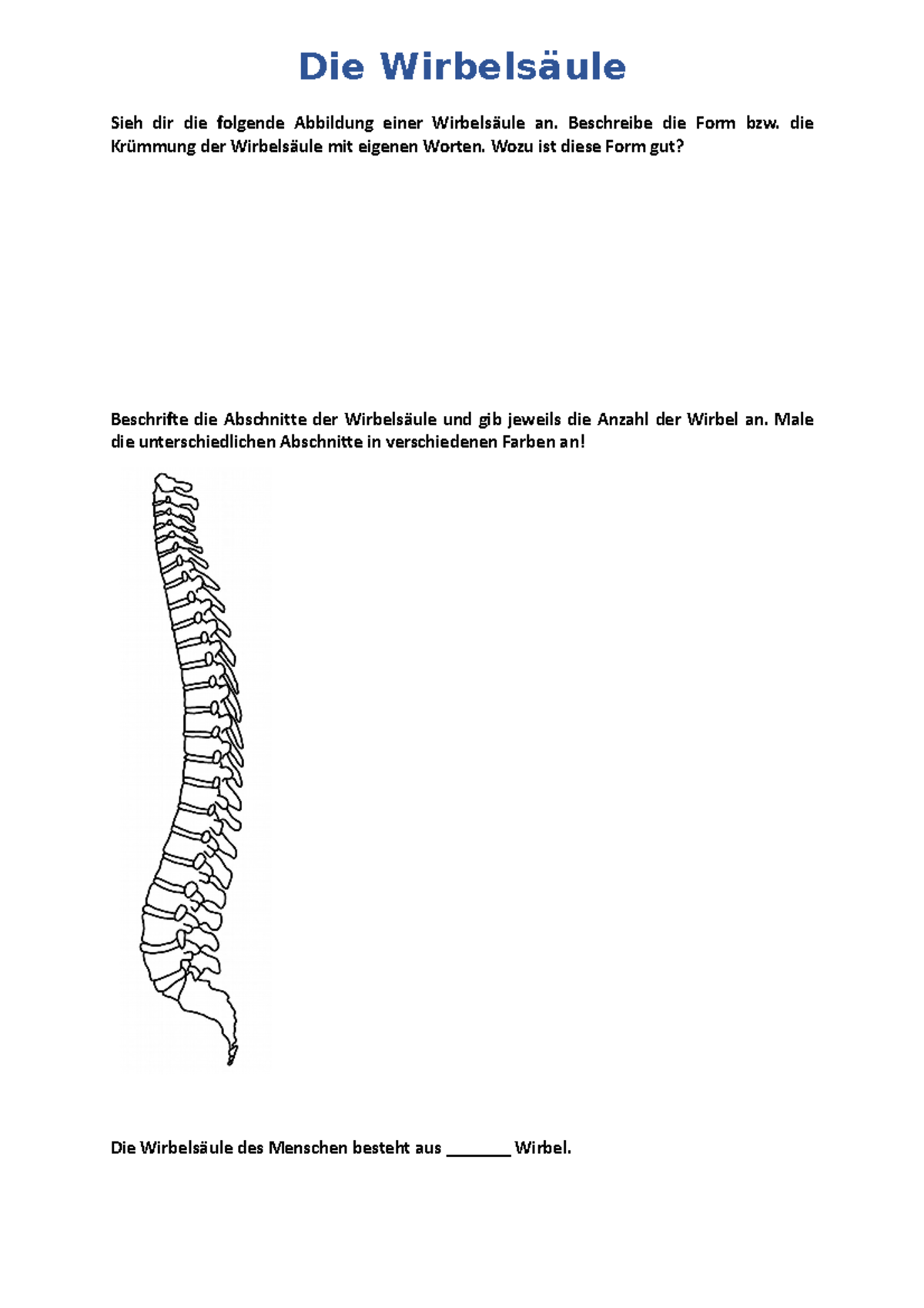 3 Die Wirbelsäule - Arbeitsblatt - Schulpraktisches Begleitseminar im ...