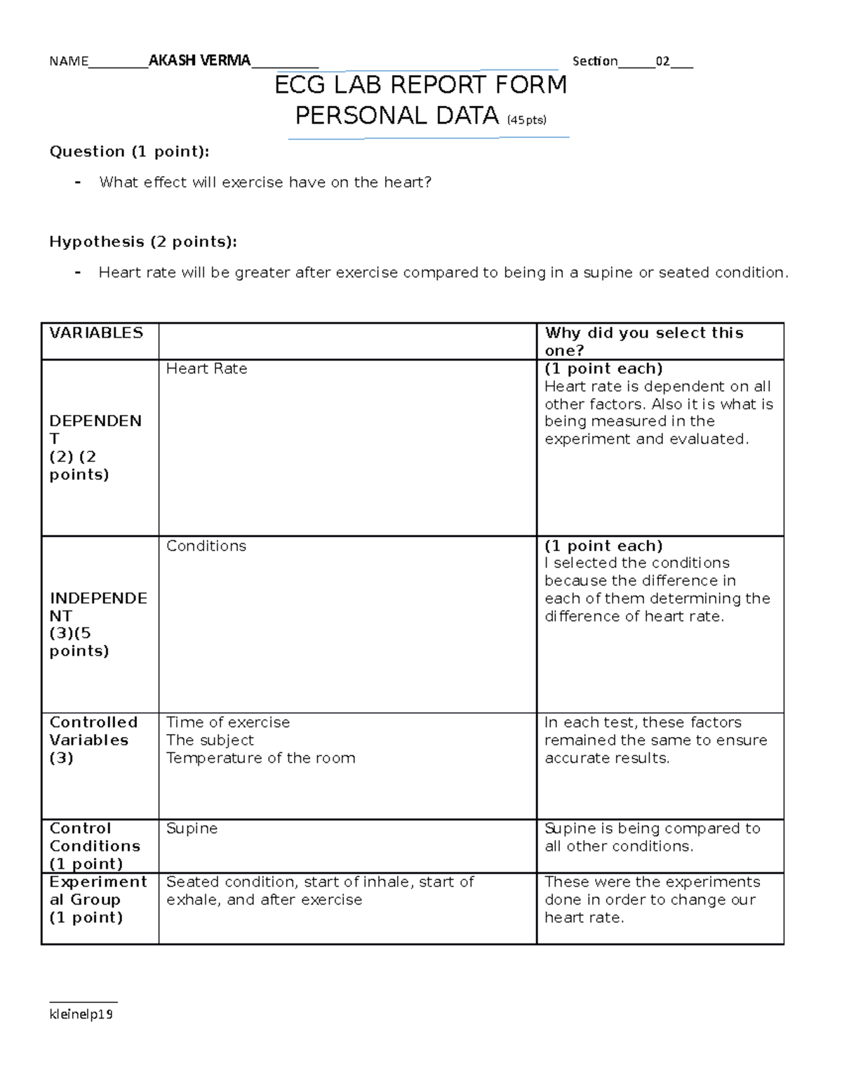 ecg-lab-report-grade-a-ecg-lab-report-form-personal-data-45pts