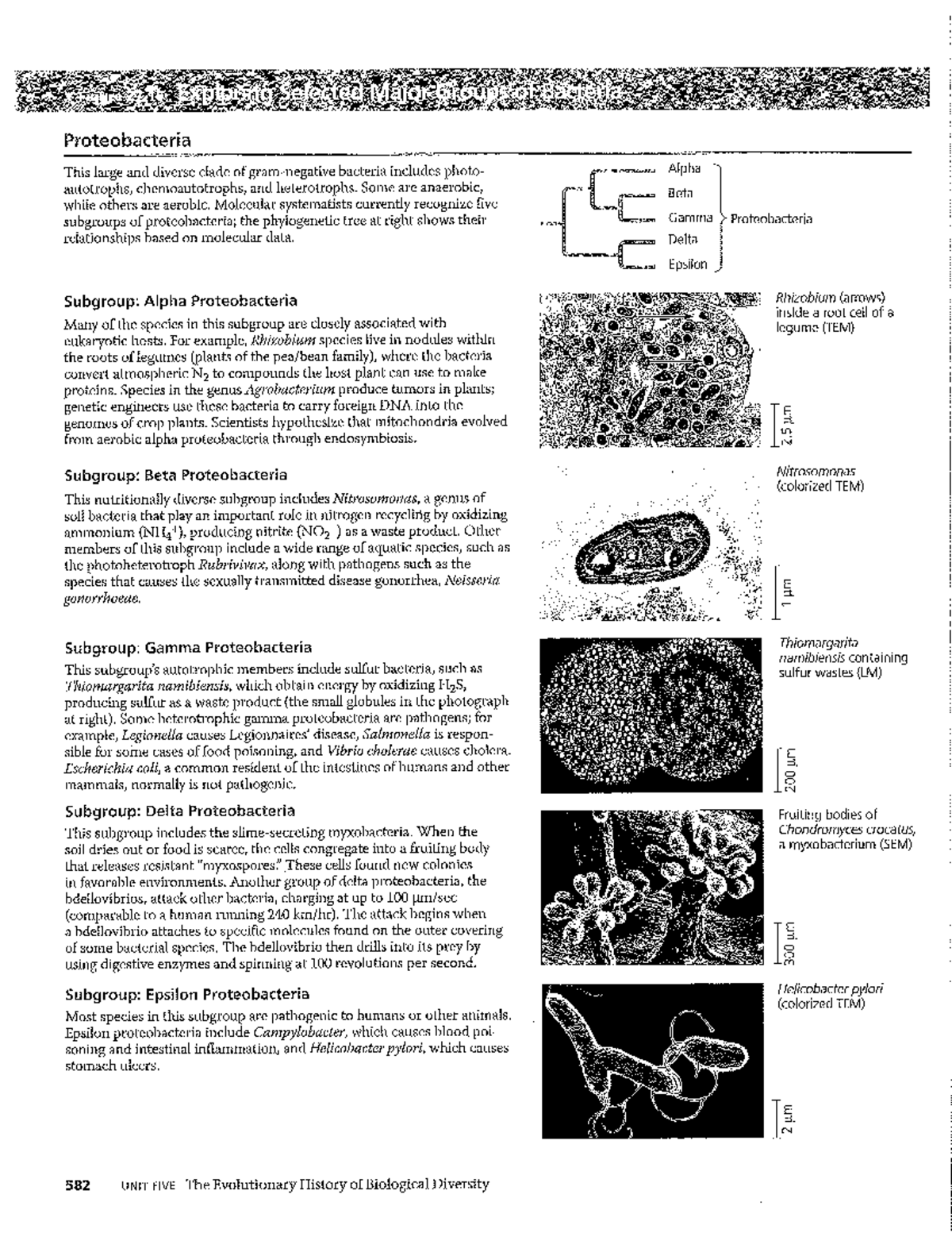 Biol 112 5-Page PDF for Exam II - Know This Material - BIOL 1700 - Studocu