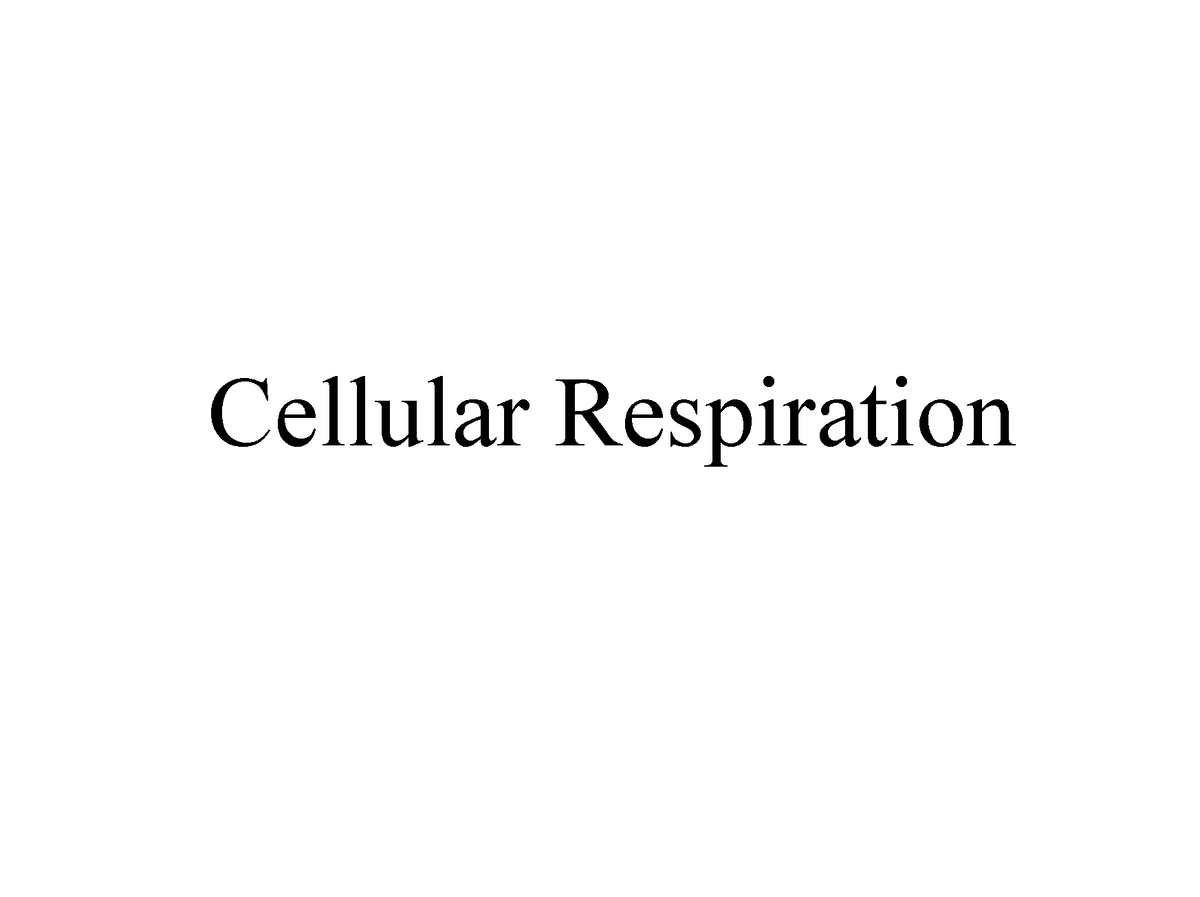 Cell Respiration complete - Cellular Respiration Objectives By the end ...