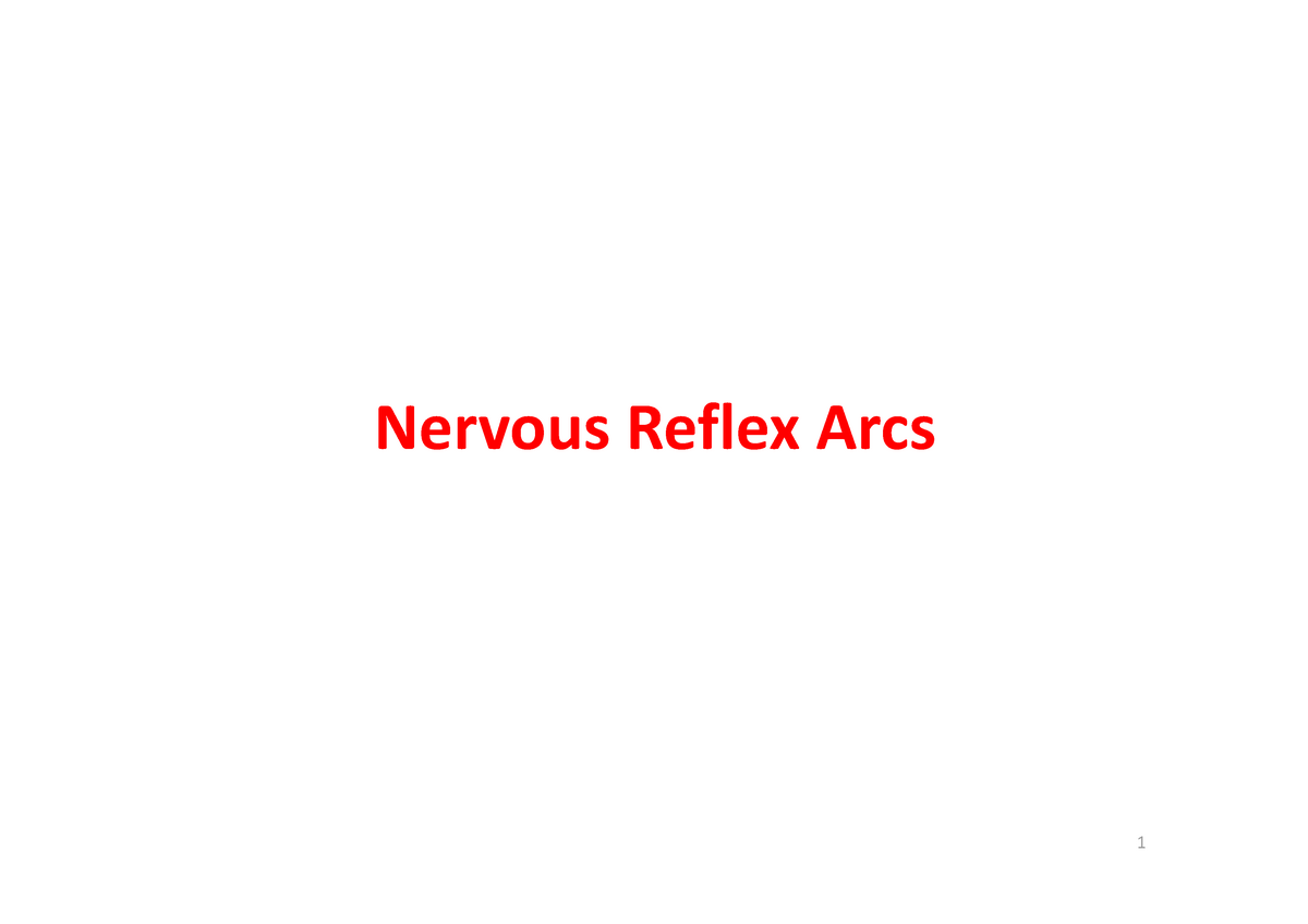 Reflexes Worksheet - Summary Bachelor Of Health Science - Warning: TT ...