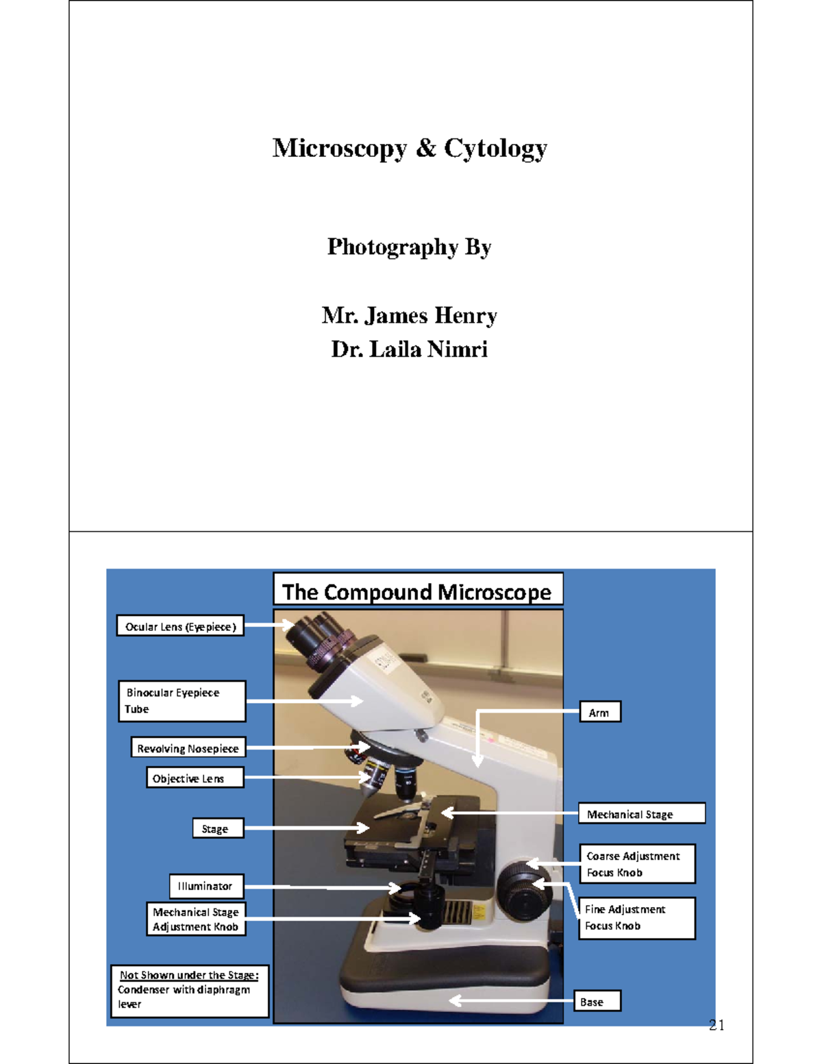 Ap1 microscopy cell structure and cycle slides - Microscopy & Cytology ...
