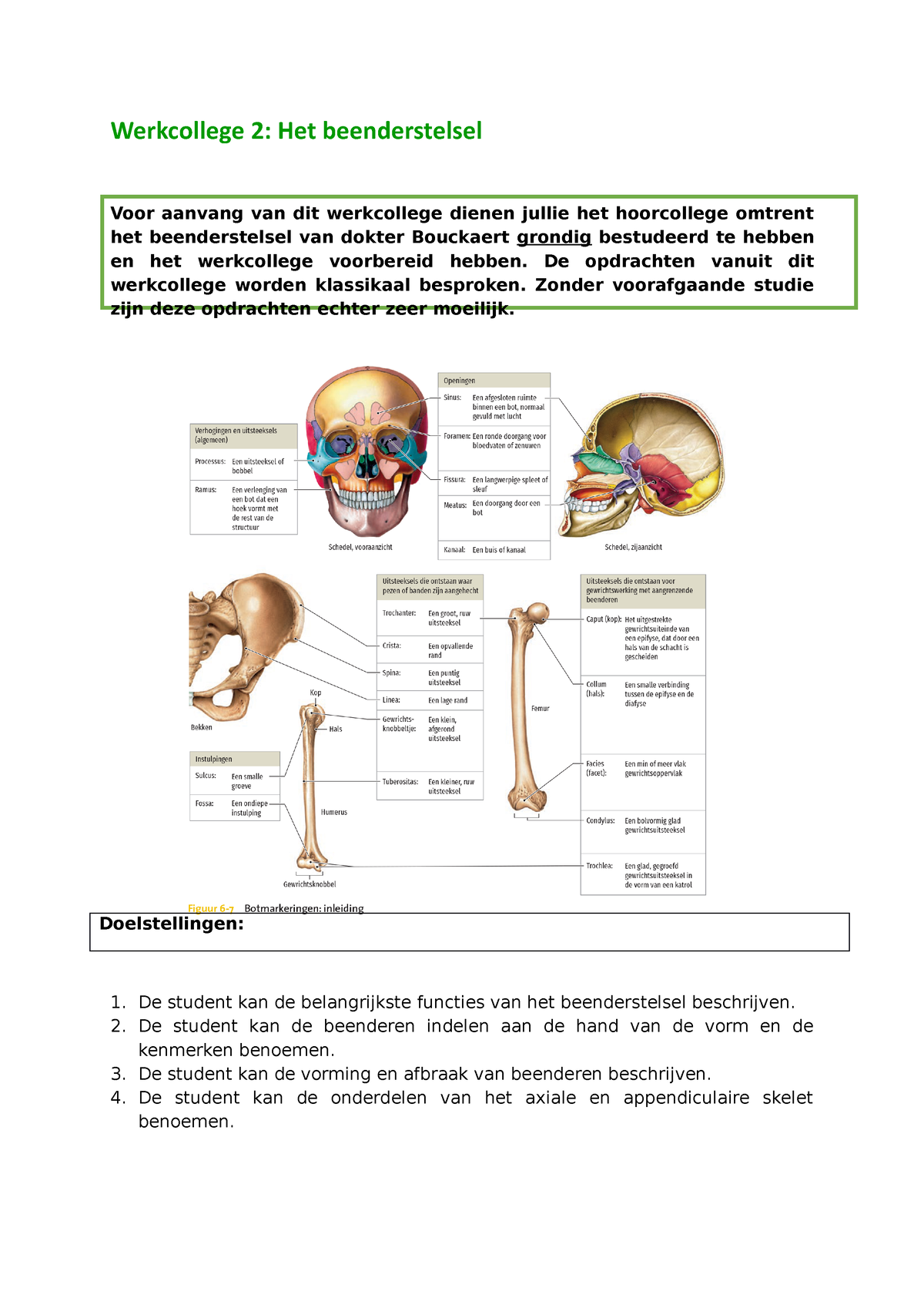 Werkcollege Beenderstelsel Studentenversie 21221 1 Werkcollege 2