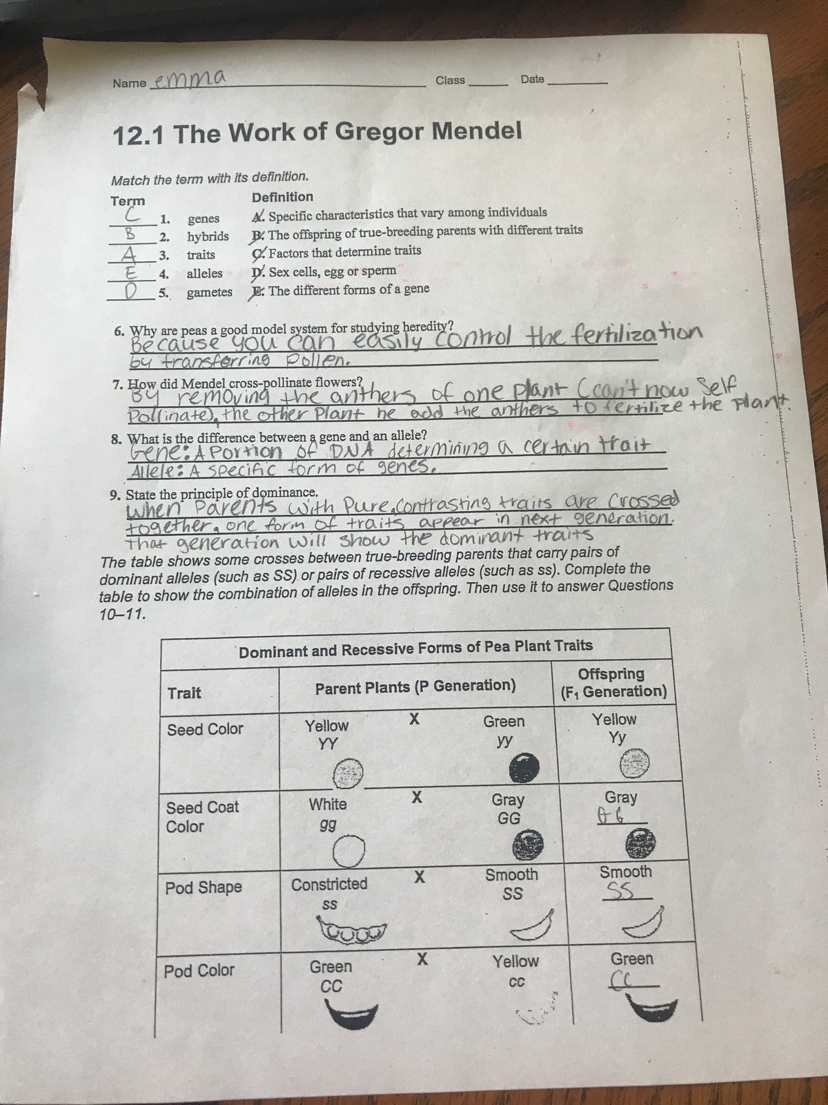 Sec 112.1 Reading Guide (front page) - Studocu