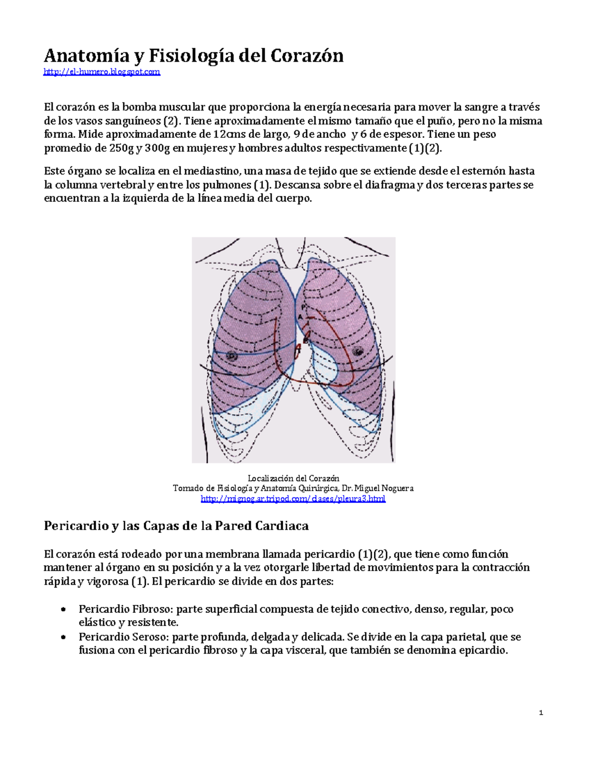 Anatom A Y Fisiolog A Del Coraz N - Anatomía Y Fisiología Del Corazón ...