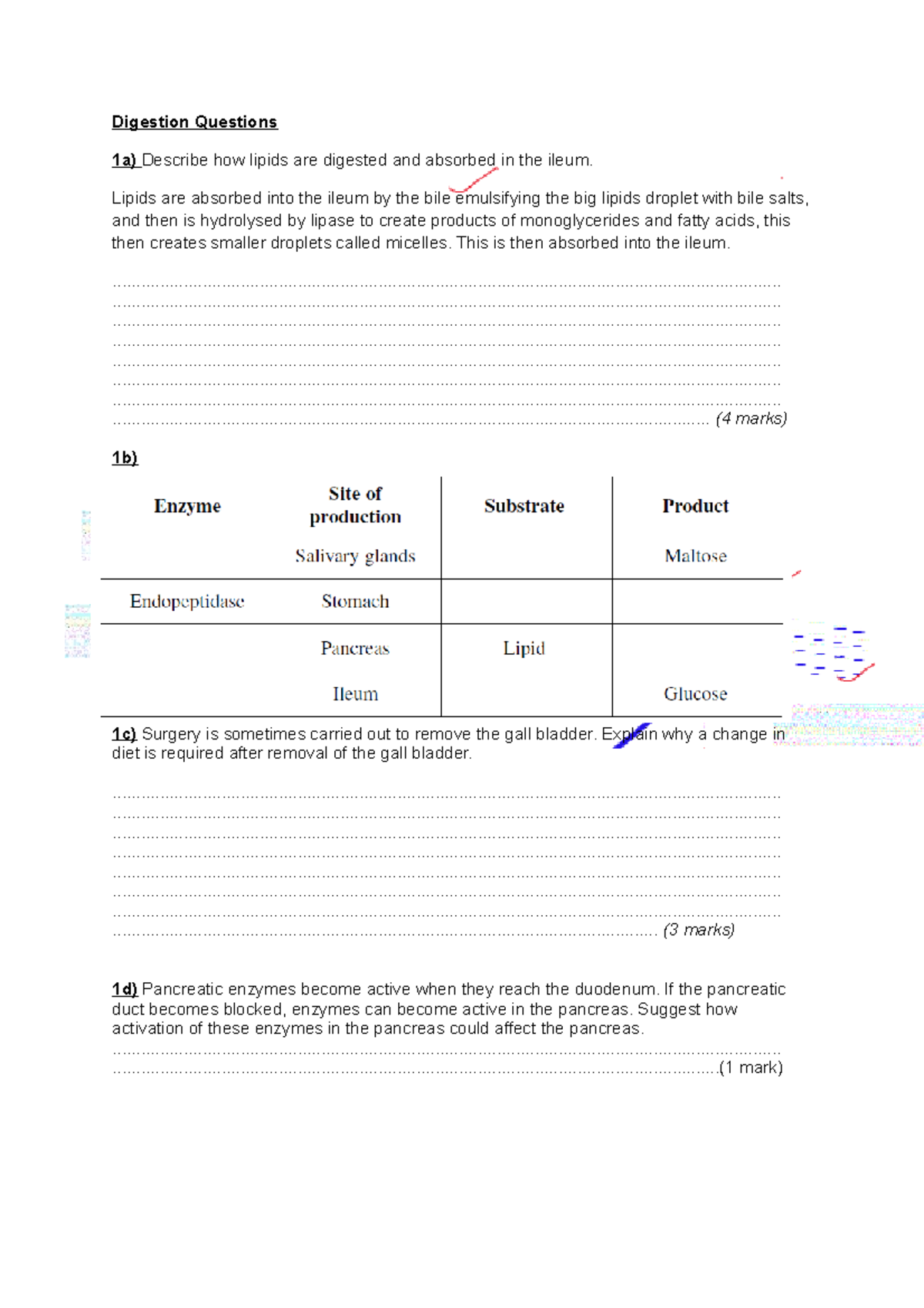 Digestion Questions student copy - Digestion Questions 1a) Describe how ...