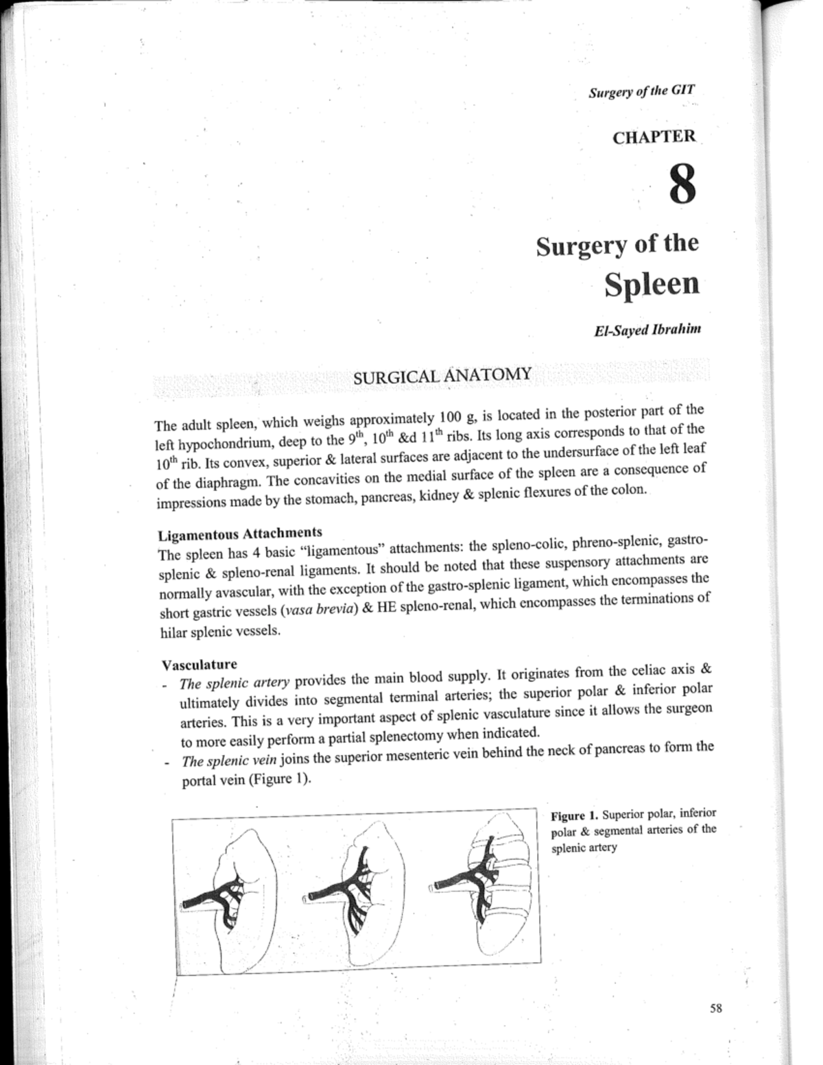 Surgery of the spleen - physiology pathology - Studocu