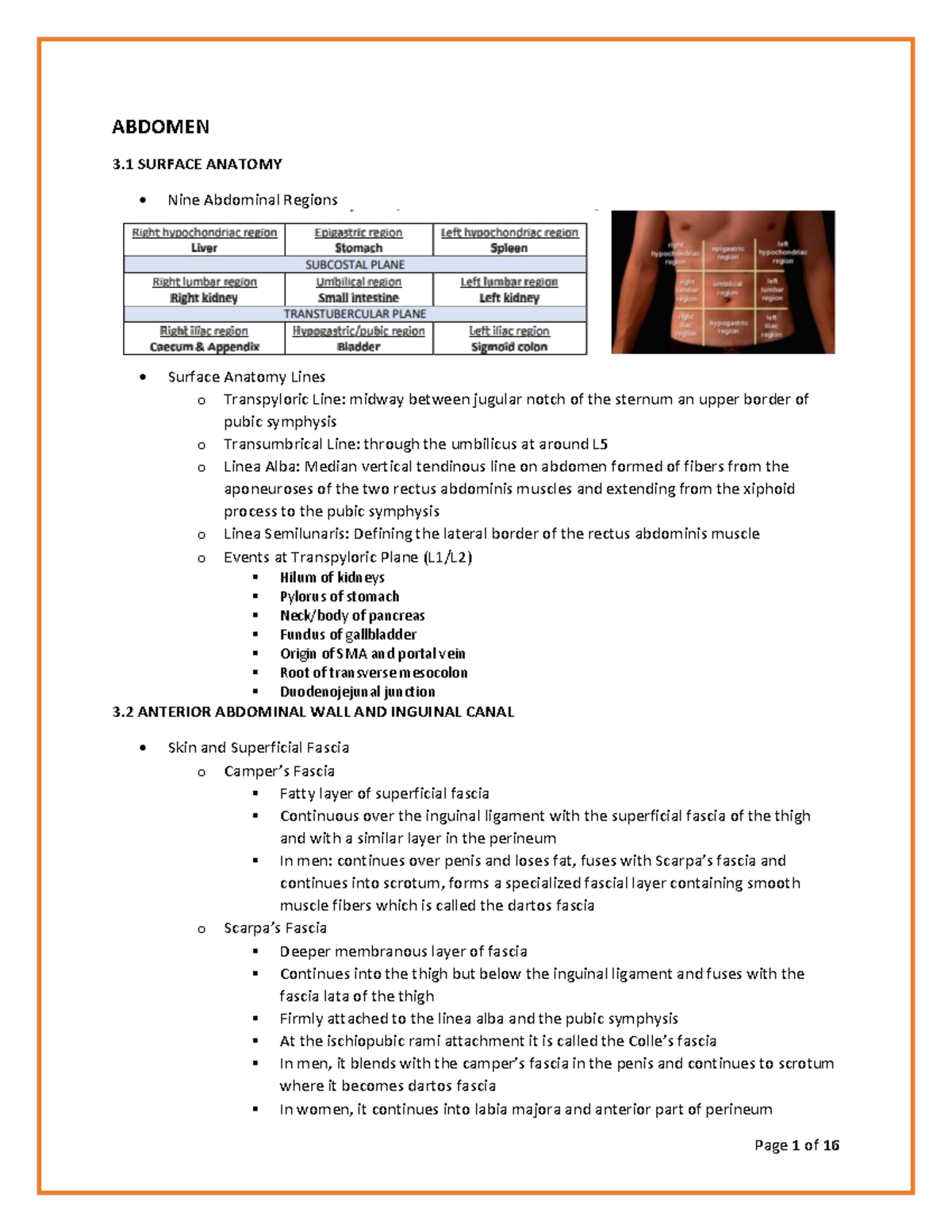 Abdomen - a summary of the study outcomes of the study guide - ABDOMEN ...