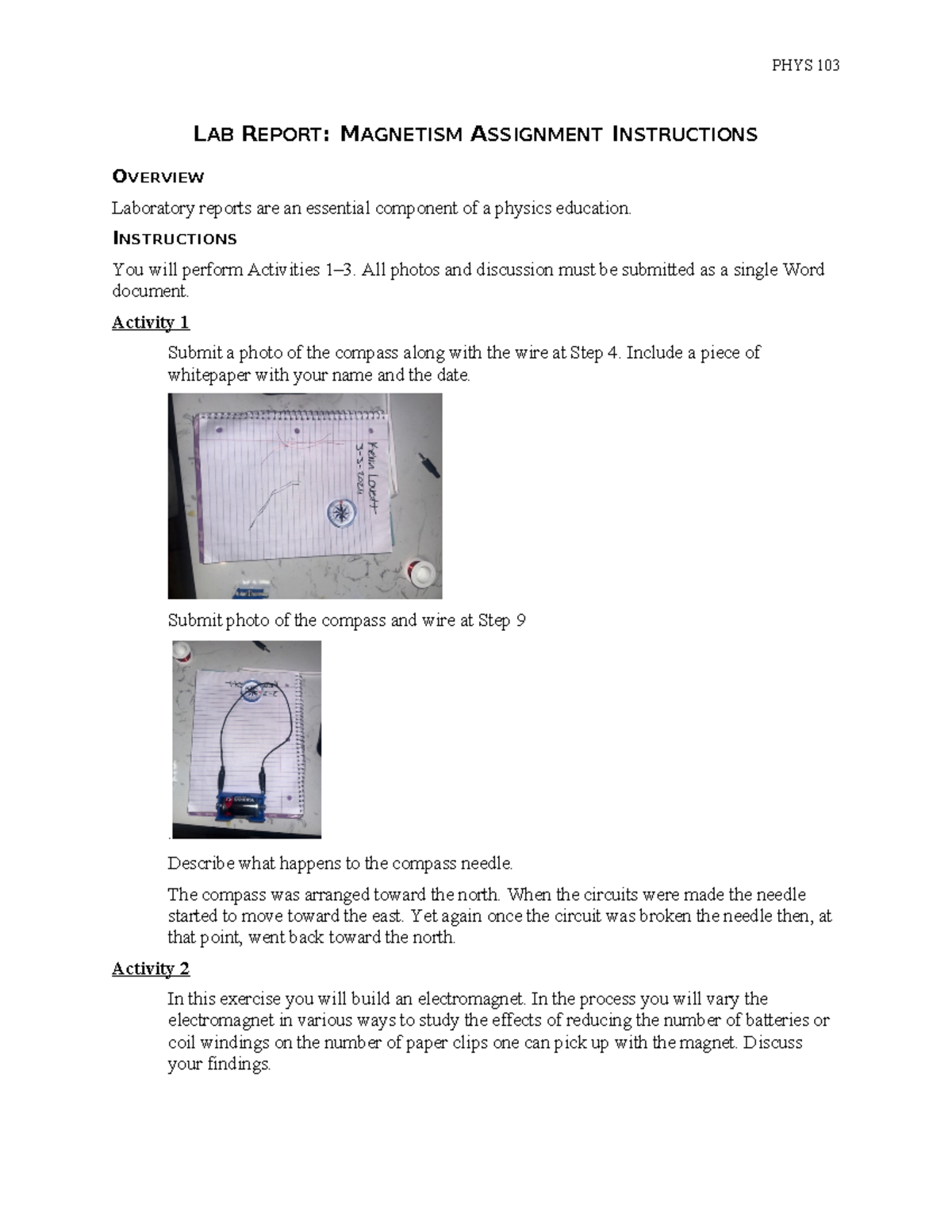 lab report magnetism assignment