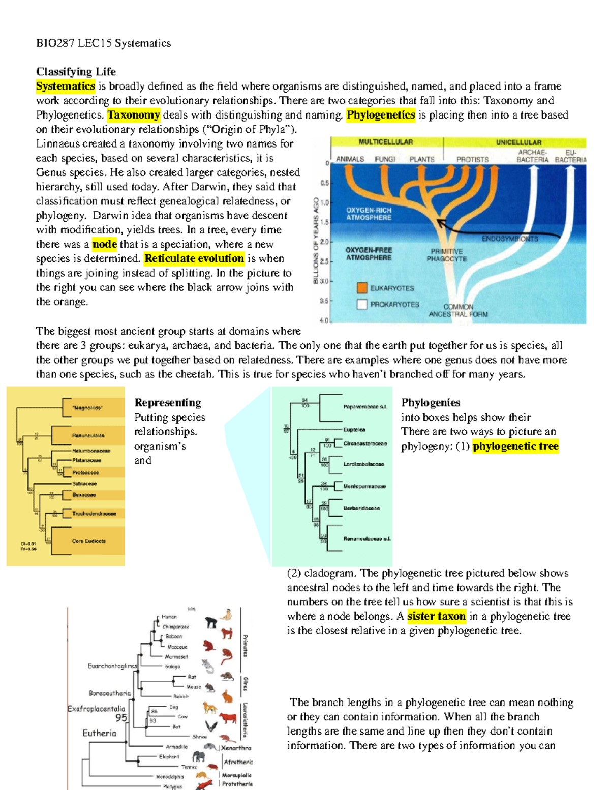 BIO287 LEC15 Outline - Lecture notes 15 - BIO287 LEC15 Systematics ...