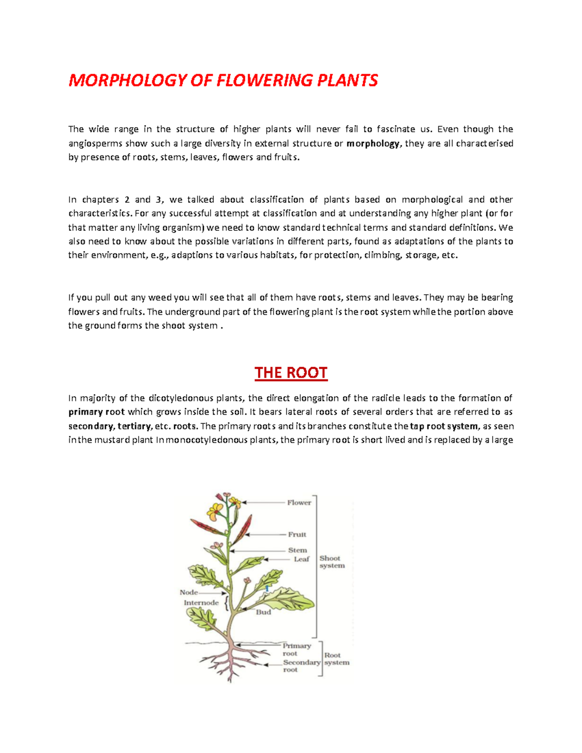 Document - Morphology of flowering plants and structure, function ...