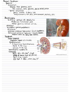 Lecture notes 9-22 - Cynthia Bronson - EEOB 2520 - Studocu