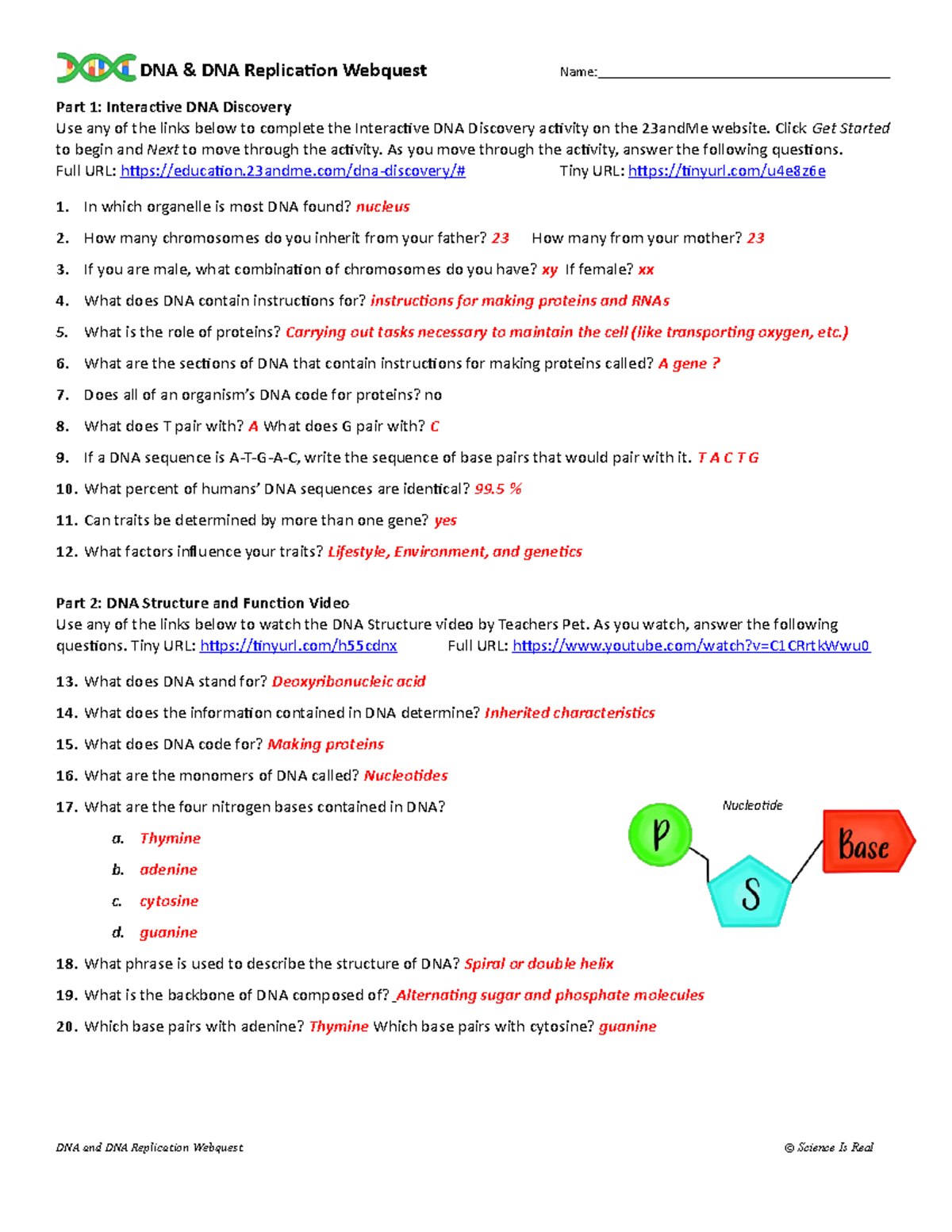 handout-dna-and-dna-replication-webquest-studocu