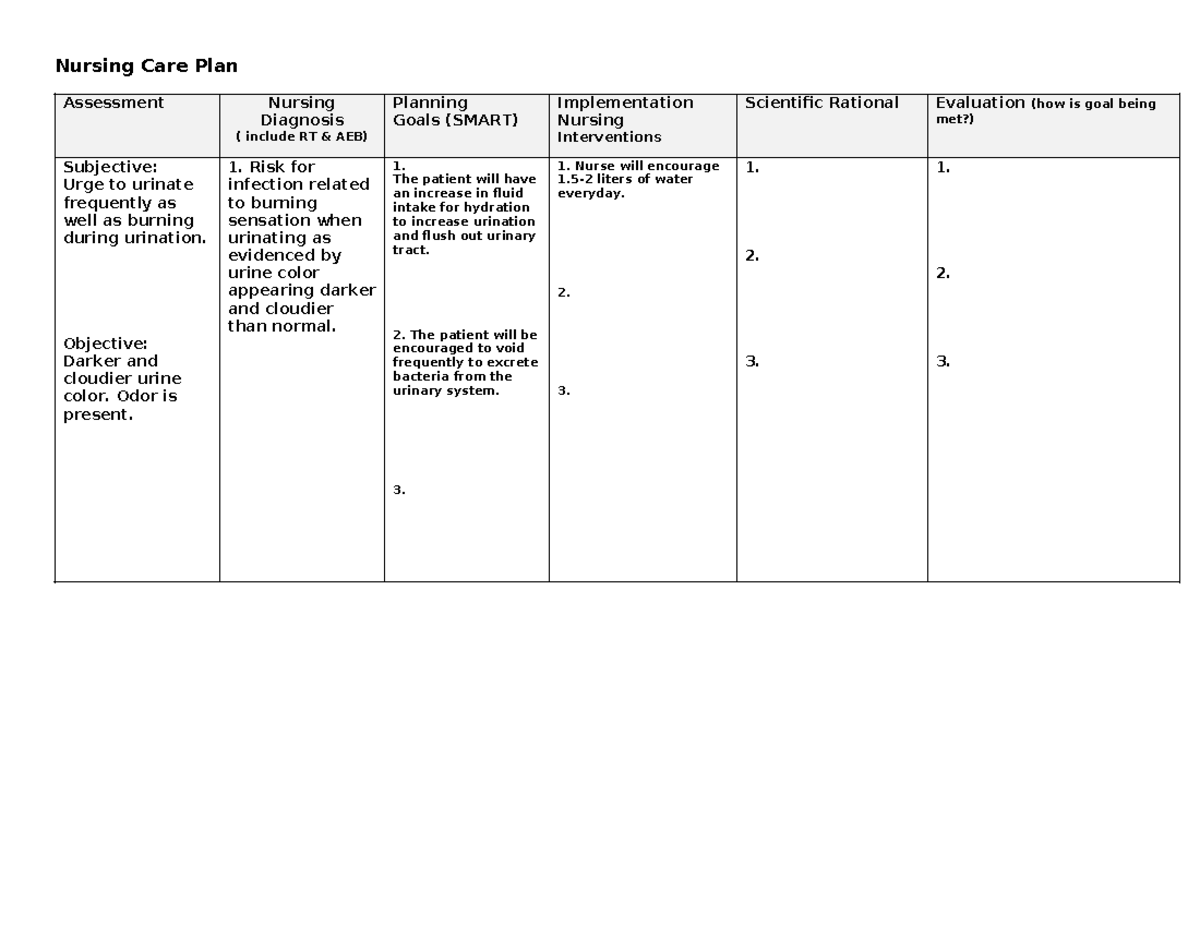 Nursing Care Plan Template - Nursing Care Plan Assessment Nursing ...