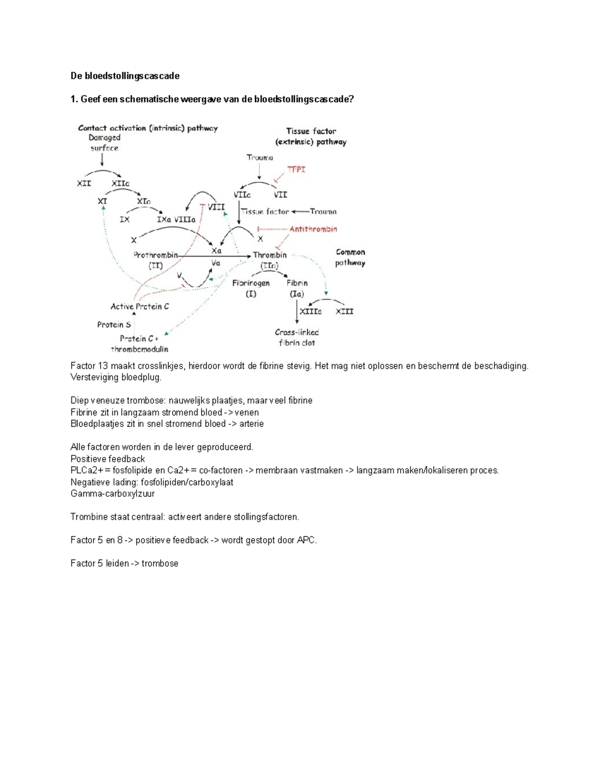 FA-BA302 Week 3 - FA-BA302 Week 3 - De Bloedstollingscascade Geef Een ...