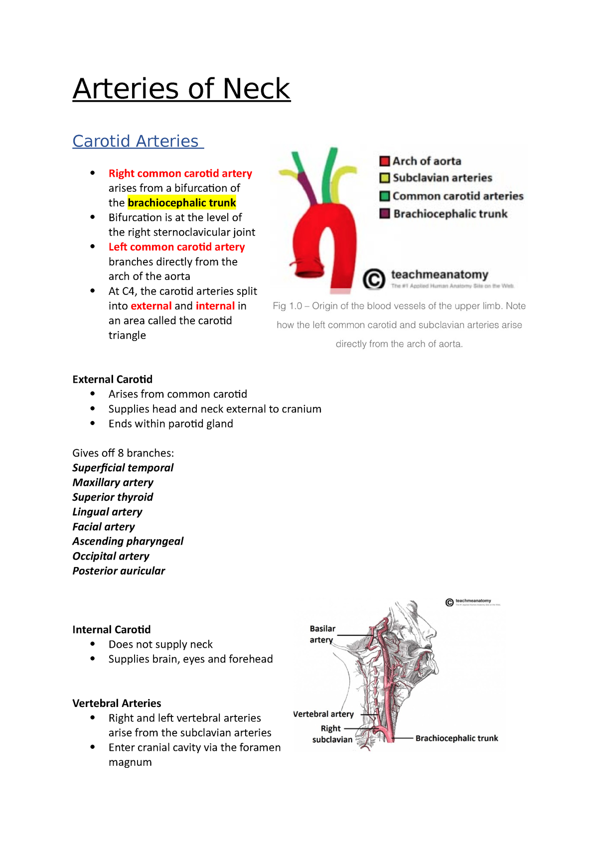 Arteries of Neck - Anatomy notes - Arteries of Neck Carotid Arteries ...