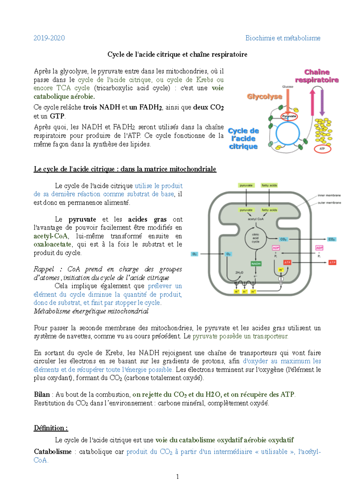 Le Pyruvate Participe Au Cycle De Krebs Biochi cycle de krebs - 2019-2020 Biochimie et métabolisme Cycle de l'acide  citrique et chaîne - Studocu