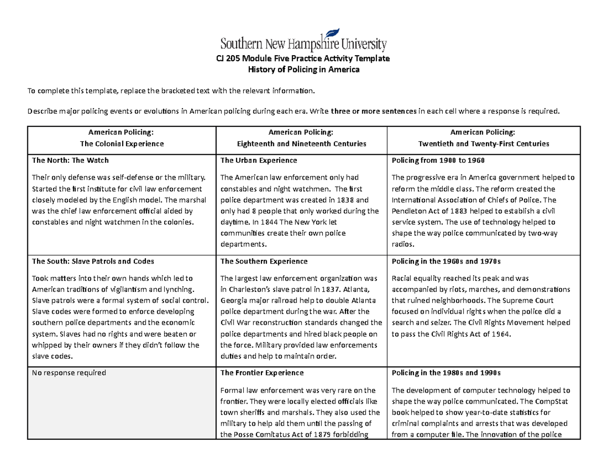 CJ 205 Module Five Practice Activity Template - CJ 205 Module Five ...