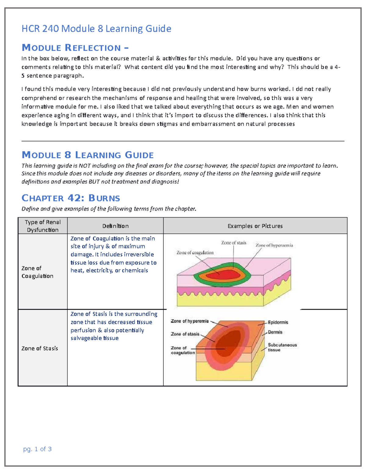 HCR 240 Module 8 Learning Guide - MODULE REFLECTION – In The Box Below ...