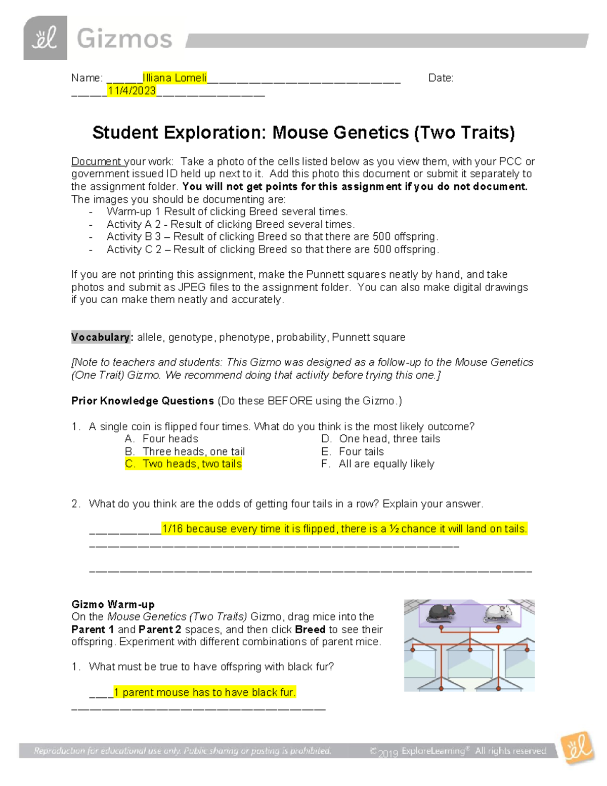 Gizmos Mouse (2 Traits) Name Illiana Lomeli