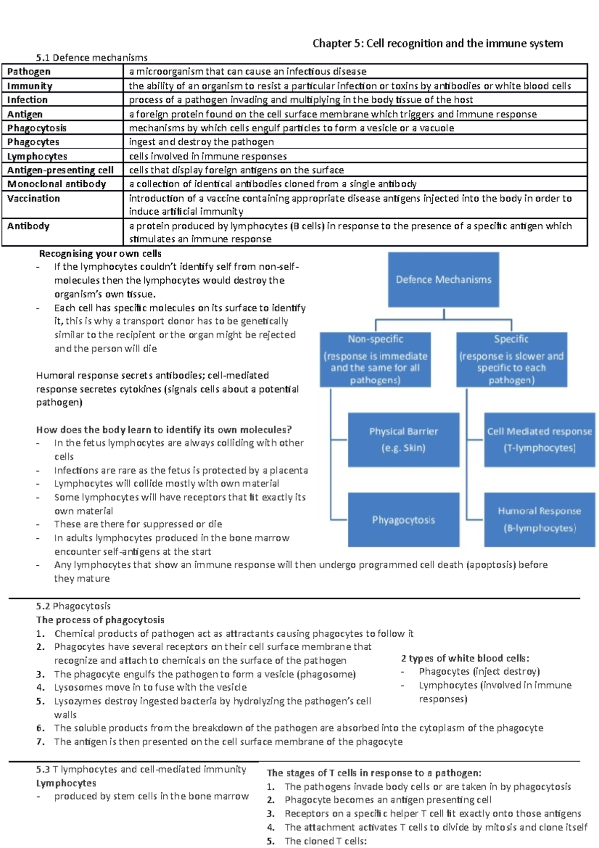 Cell recognition and the immune system - A-Level Biology notes - 5 ...