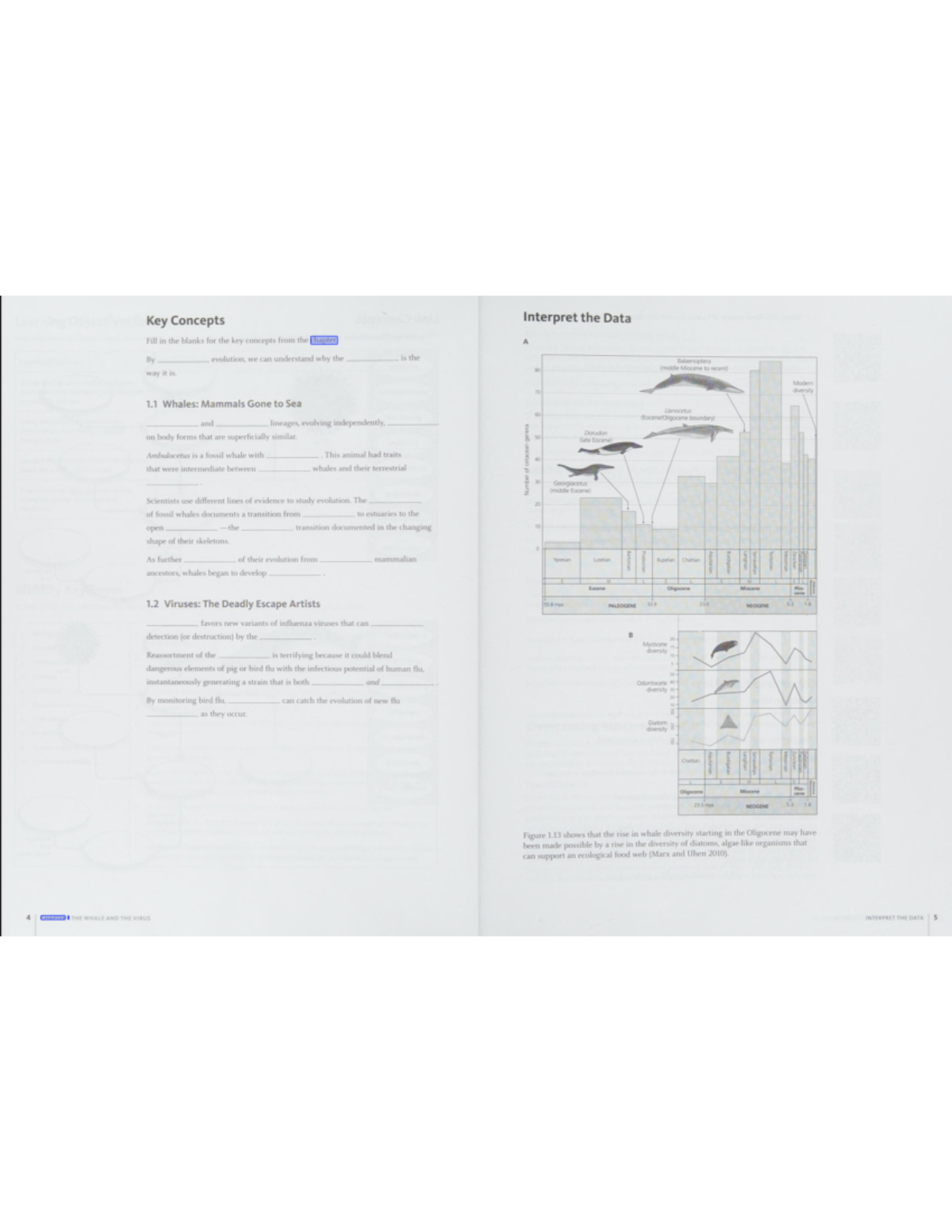 Study Guide Chapter 1 Evol - BIOL 102 - Studocu