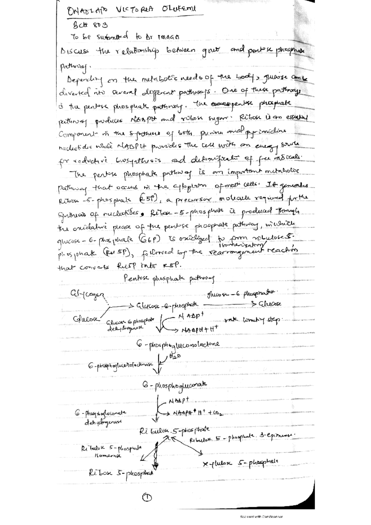 Dr Omaha Assignment - Pharmacological Biochemistry - Studocu