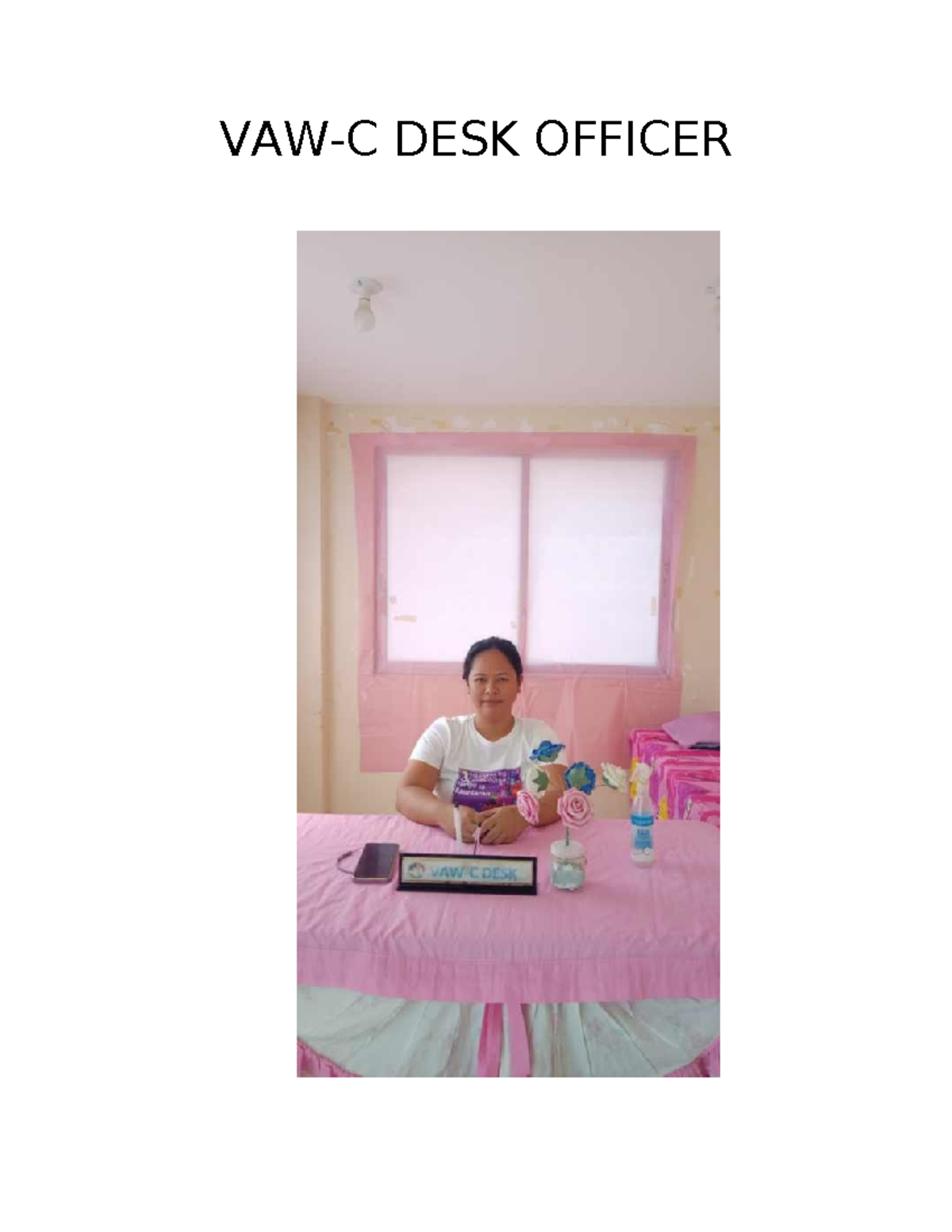 VAW-C Evaluation - BIT computer - VAW-C DESK OFFICER VAW-C DESK VAW-C ...