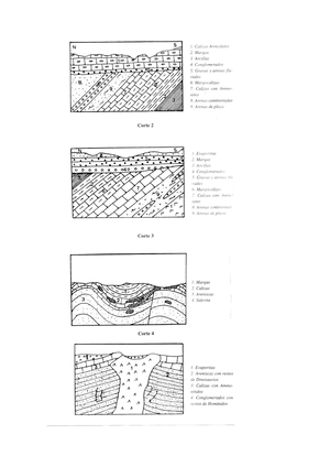 [Solved] Estructura Tabular Y Estructura Masiva Definiciones Y ...