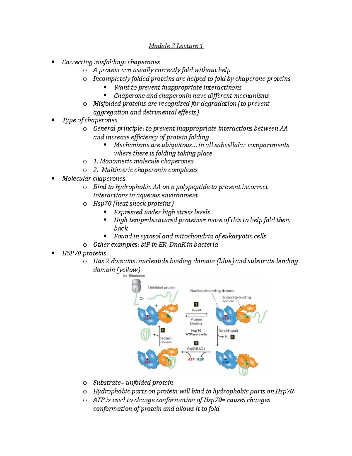 Module 2 - Module 2 Lecture 1 Correcting misfolding: chaperones o A ...