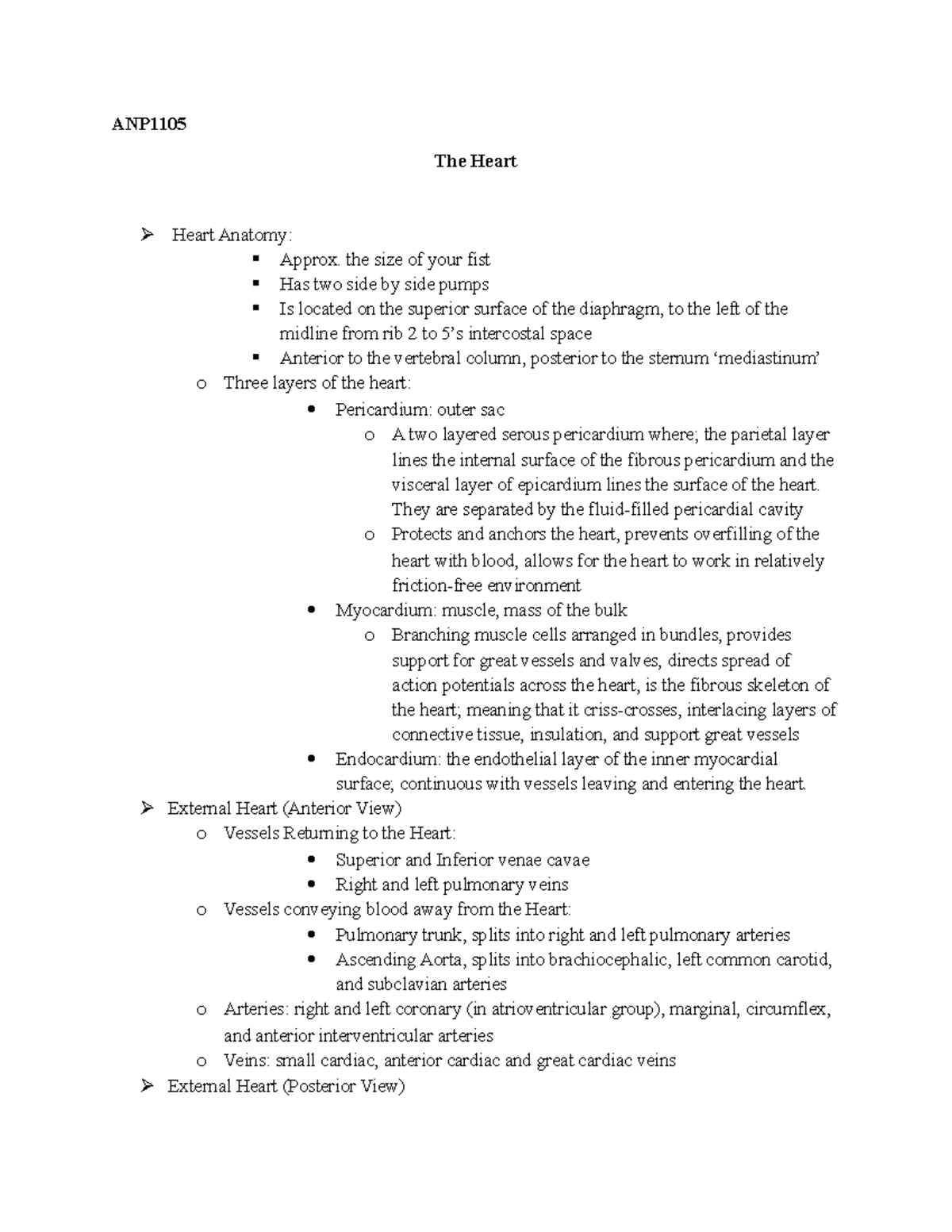The heart lecture notes summarized - ANP The Heart Heart Anatomy ...