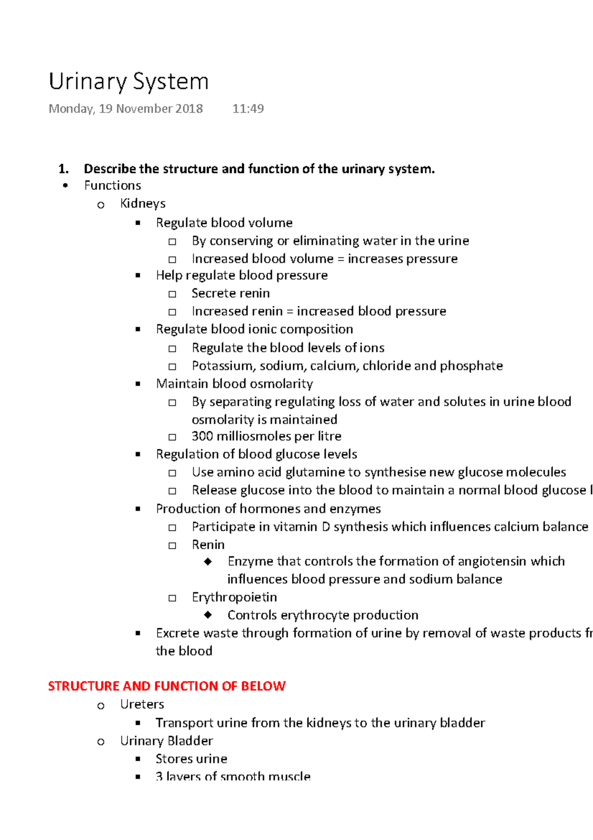 Urinary System - Describe the structure and function of the urinary ...