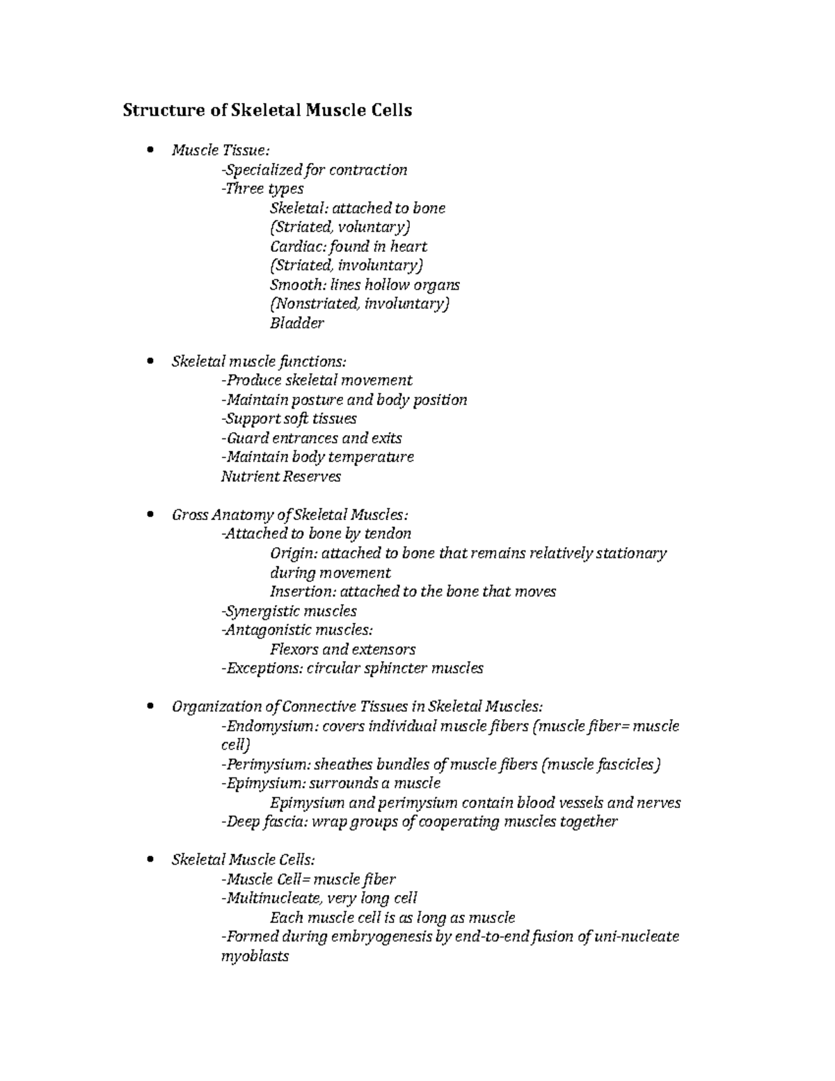 Skeletal muscles 1 - lecture notes - Structure of Skeletal Muscle Cells ...