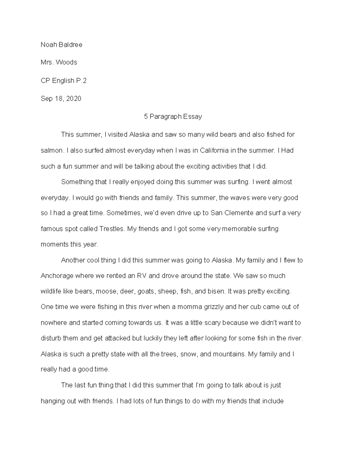 Noah drapacz essay 03 picture