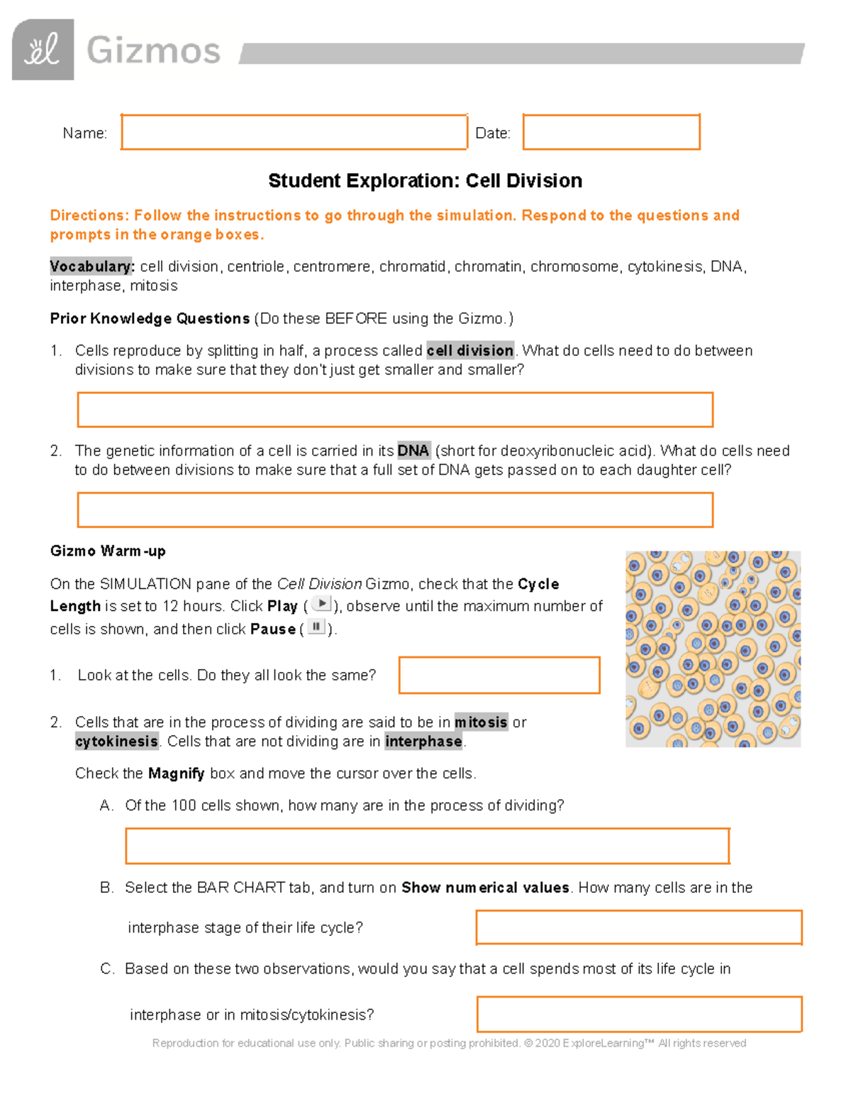 Cell Division Gizmo - Name: Date: Student Exploration: Cell Division ...