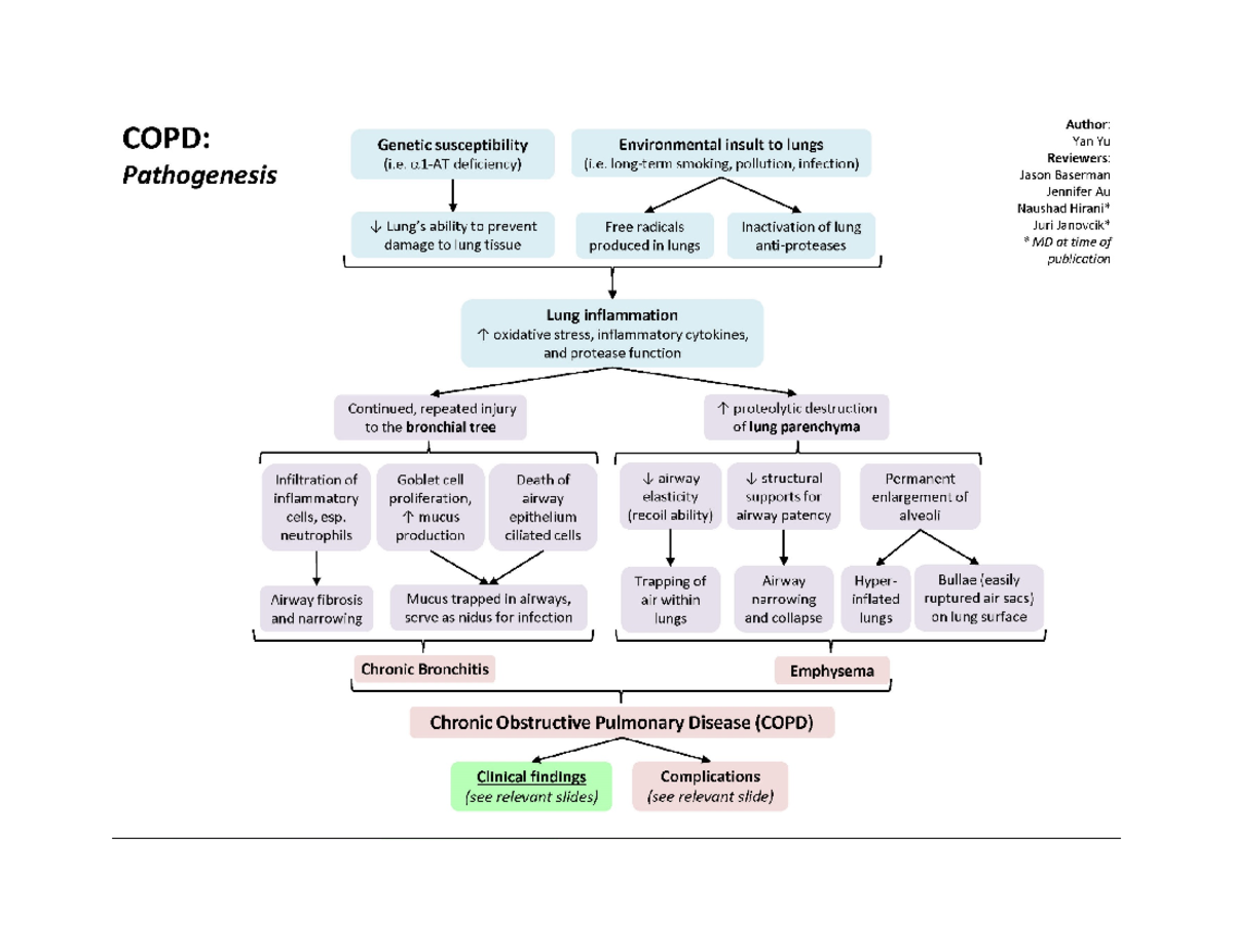 Copd Patho Concept Map - Nur1129 - Studocu