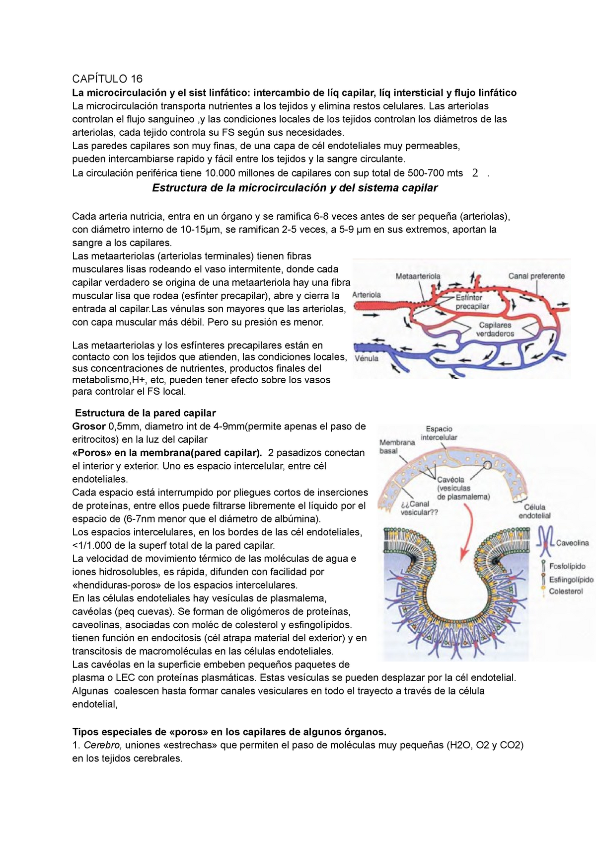 CAP Guyton La microcirculación y el sist linfático CAPÍTULO La microcirculación y el