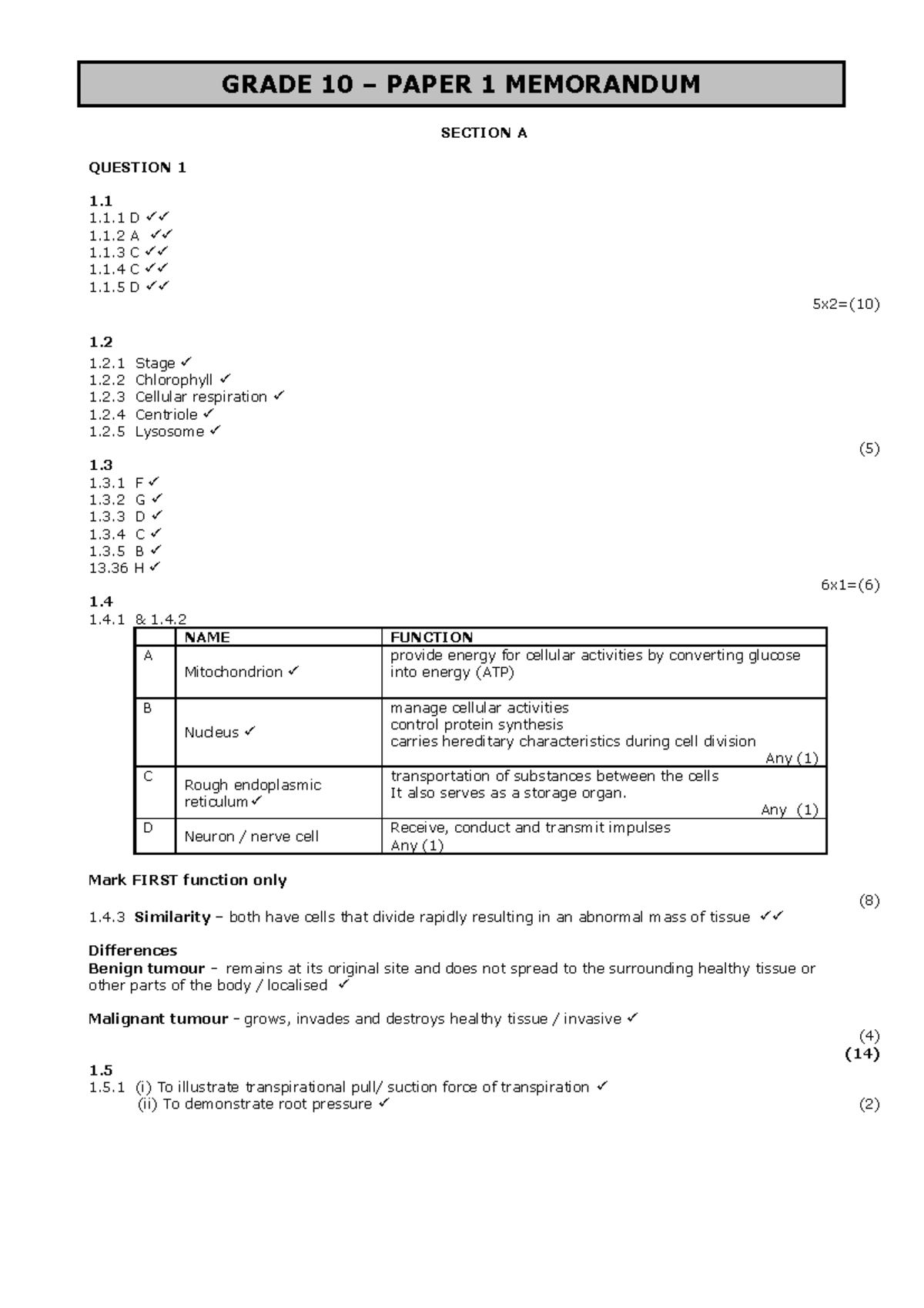 creative thinking essay grade 10 memo