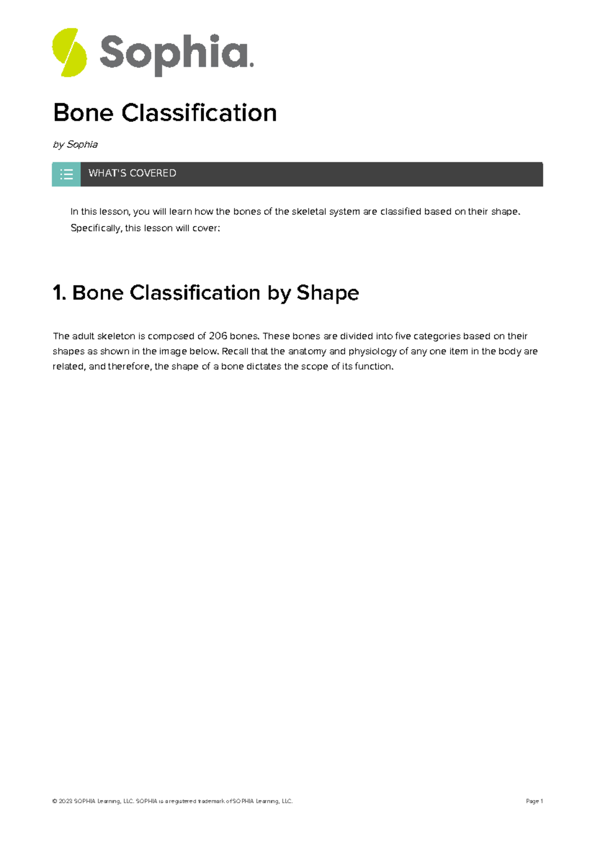 Bone-classification - Bones - Bone Classification by Sophia In this ...