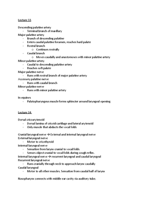 Ruminant anatomy - clinical - Ruminant anatomy Flank laparotomy - Three ...