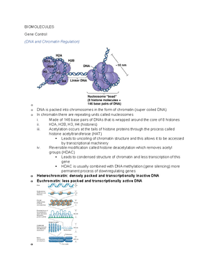 Bio 107 Comprehensive Notes - Bio 107 Notes Condensed Macromolecules ...