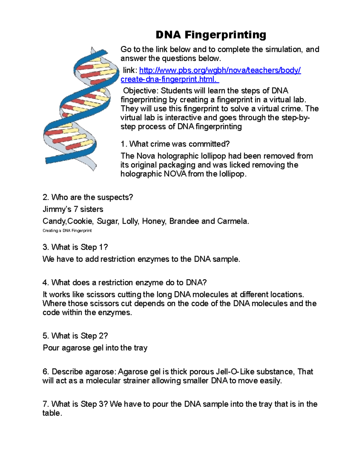 DNA Fingerprinting link pbs/wgbh/nova/teachers/body/ createdna