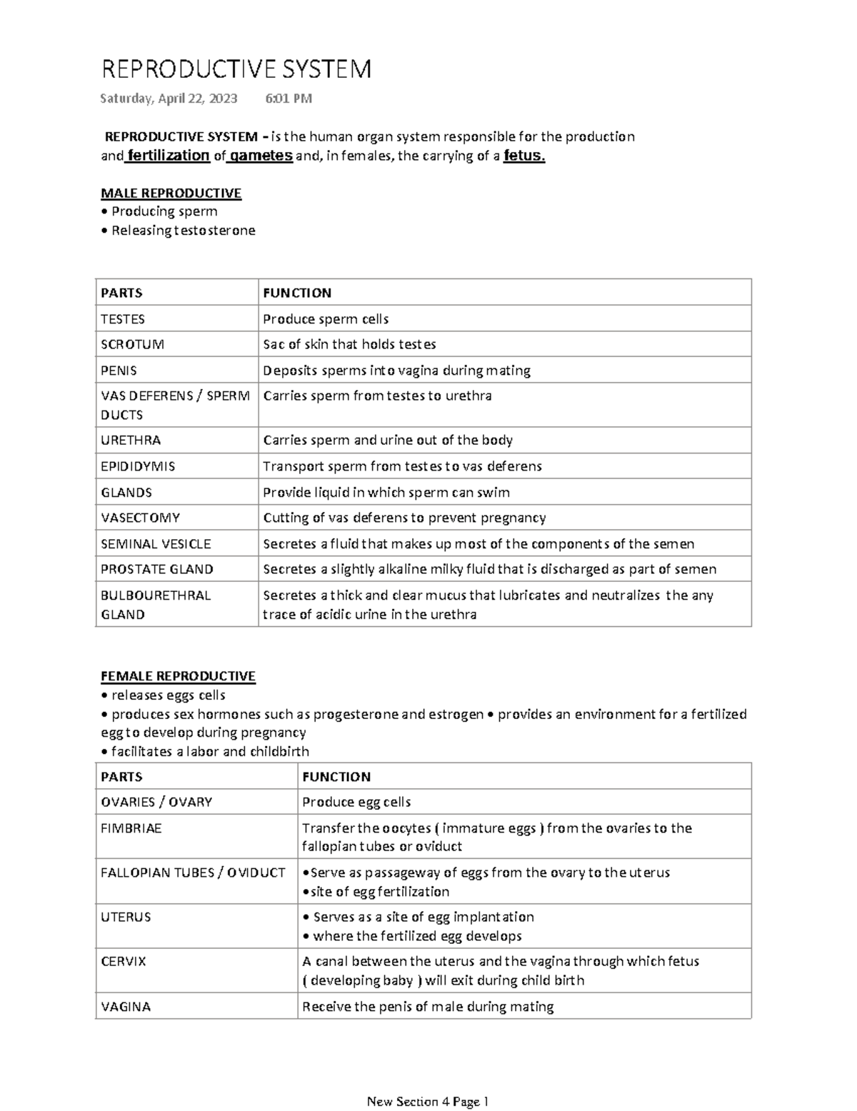 reproductive system terms assignment