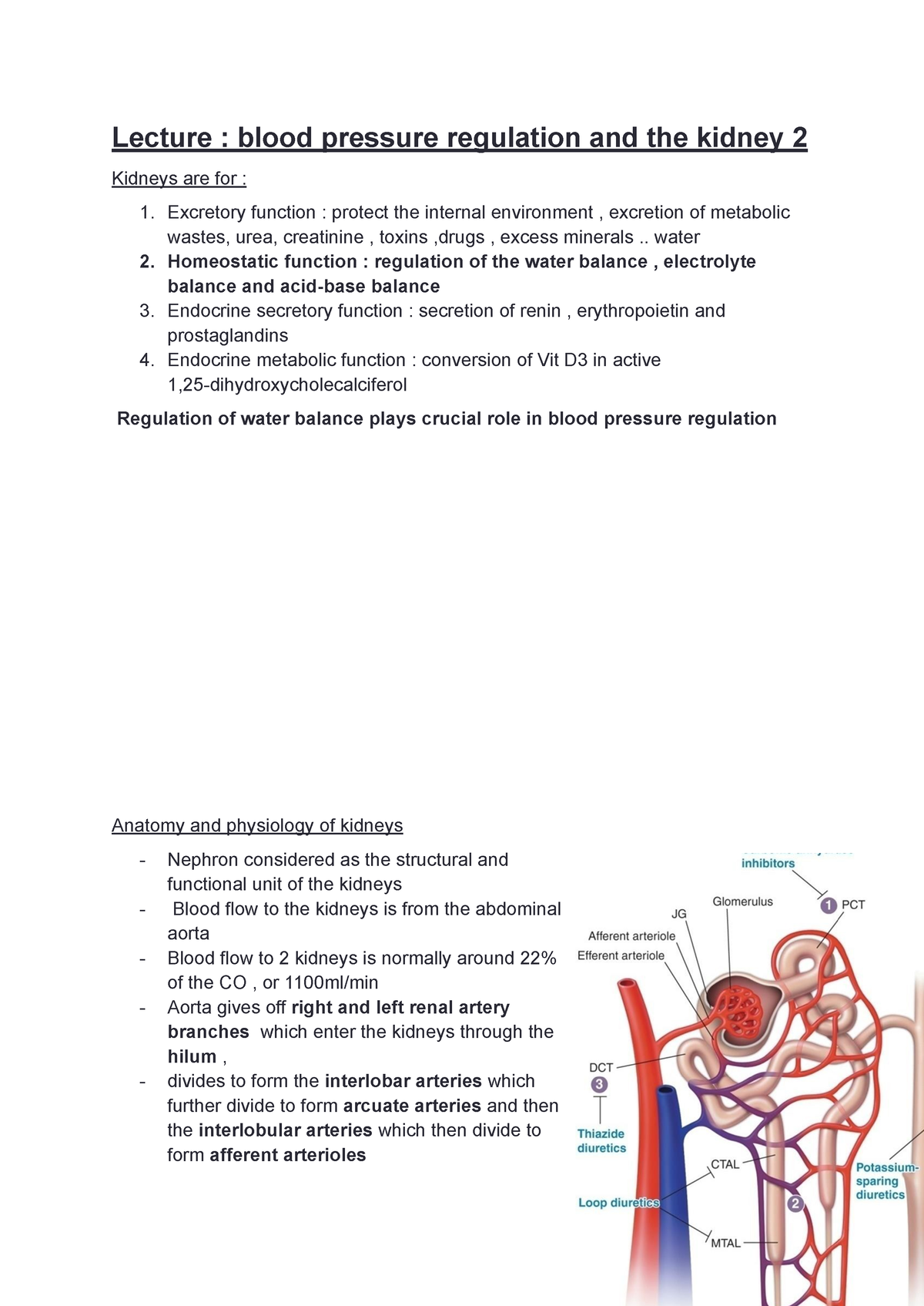 Lecture BP regulation and the kidney part 1 - Lecture : blood pressure ...