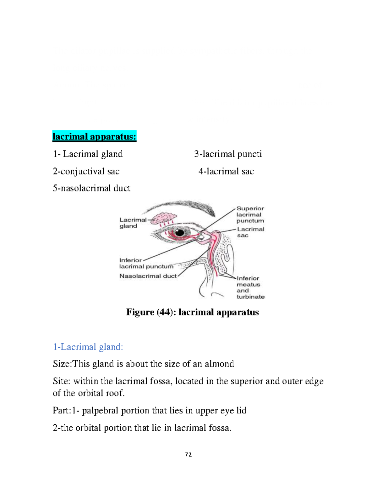 NEU anatomylacrimal apparatus The dilator pupillae is supplied by