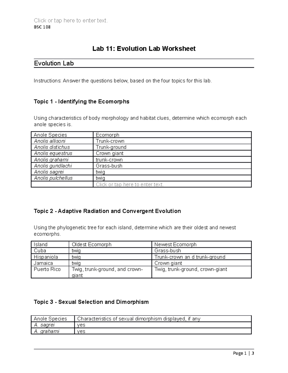 Lab-11-Evolution-Worksheet - Click or tap here to enter text. BSC 108 ...